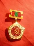 Insigna Veteran - URSS , metal si email , h= 5,4 cm
