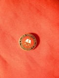 Insigna Clubul Sportiv Scolar - Timisoara , metal si email , d= 1,5 cm-fara ac