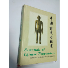 ESSENTIALS OF CHINESE ACUPUNCTURE (acupunctura )