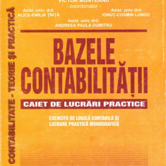 Bazele contabilitatii Caiet de lucrari practice