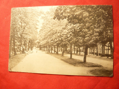 Ilustrata - Covasna -Promenada cca.1920 Foto Adler Brasov foto