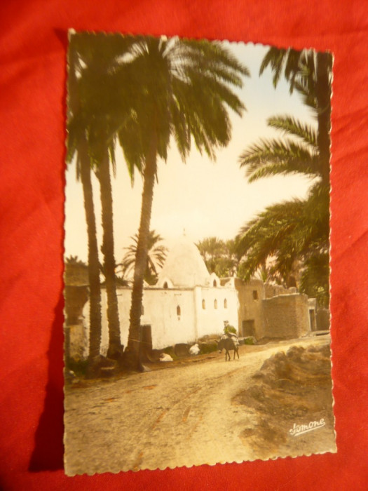 Ilustrata Algeria- Musulman in vechea Biskra , anii &#039;50, foto Jomone