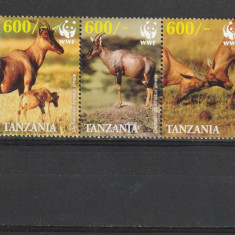Fauna ,cervide WWF ,Tanzania.