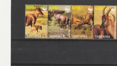 Fauna ,cervide WWF ,Tanzania. foto