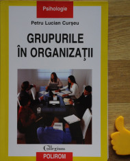 Grupurile in organizatii Petru Lucian Curseu foto