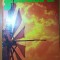 revista flacara 4 august 1973-art. despre jud. sibiu si minerii din valea jiului