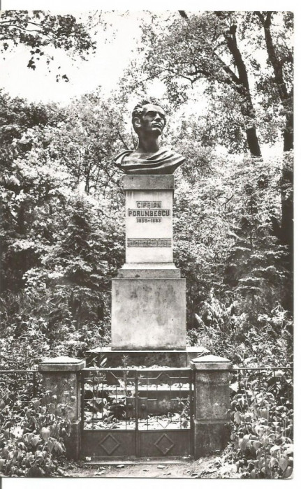 carte postala(ilustrata)-SUCEAVA-Statuia lui Ciprian Porumbescu