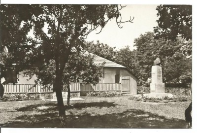 carte postala(ilustrata)-BOTOSANI-LIVENI -Casa memoriala George Enescu foto