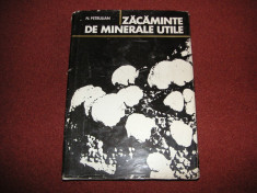 Zacaminte De Minerale Utile - Nicolae Petrulian foto