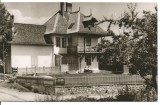 carte postala(ilustrata)-CAMPINA-Muzeul N. Grigorescu