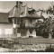 carte postala(ilustrata)-CAMPINA-Muzeul N. Grigorescu