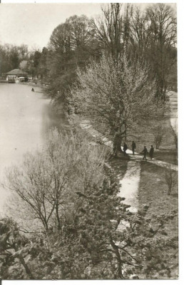 carte postala(ilustrata)-CRAIOVA-Vedere din Parcul Poporului foto