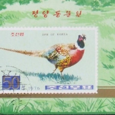 KOREA - FAUNA FAZAN, COLITA STAMPILATA, N1