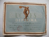 Diploma sportiva UCFS 1963