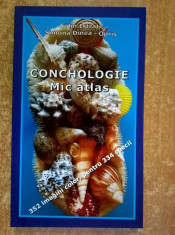 C. Istrate, S. Dinea-Opris - Conchologie Mic atlas {2017} foto