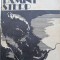Pamant sterp - Ellen Glasgow