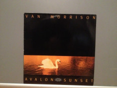 VAN MORRISON - AVALON SUNSET (1989/POLYDOR/RFG) - Vinil/Rar/Bues/Impecabil (NM+) foto