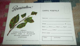 Carte postala buletin de avertizare pomicultura 1974, Necirculata, Fotografie