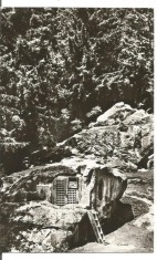 carte postala(ilustrata)-PUTNA-Chilia lui Daniil Sihastrul