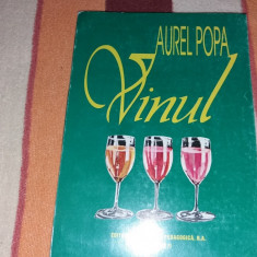 AUREL POPA VINUL/TD