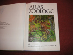 ATLAS ZOOLOGIC - 1983 (format mare) foto