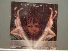 CAMEL - RAIN DANCES (1977/DECCA rec/RFG) - disc Vinil/Impecabil (NM) foto