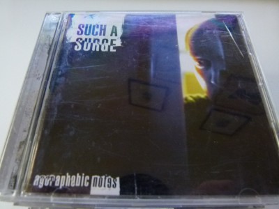 Agarophobic notes - Such a surge -cd foto