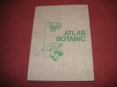 ATLAS Botanic - 1973 (format mare) foto
