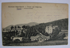 Carte postala Anina (jud. Caras-Severin, Banat) circulata in anul 1908 foto