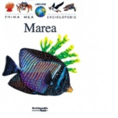 Marea ( Colec?ia prima mea enciclopedie Larousse ) foto