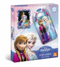 Frozen- Placa De Inot foto