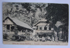 Carte postala Sasca Montana (Caras-Severin, Banat) necirculata anii 1910 foto