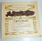 Cumpara ieftin Diploma M.A.N. - R.S.R. -U.M. Cluj Napoca - deplasare pe 10 km