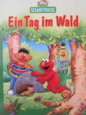 Ein Tag im Wald foto