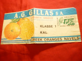Eticheta Firma Gillas - Corinth-Grecia -Portocale pt. Export, L= 21 cm