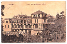 Cluj Kolozsvar Facultatea de medicina veterinara ilustrata circulata apr. 1915 foto