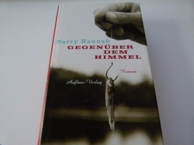 Gegenuber dem Himmel -Harry Hannah foto