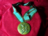 Medalie bronz Le Verrier semnata, patina verdi gris, colectie, vintage, Europa