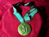 Medalie bronz Le Verrier semnata, patina verdi gris, colectie, vintage, Europa