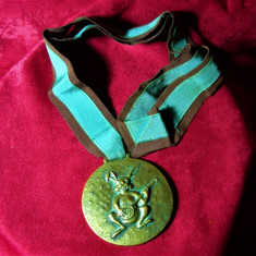 Medalie bronz Le Verrier semnata, patina verdi gris, colectie, vintage