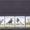 PASARI INTELIGENTE ,2017,MNH,ROMANIA.
