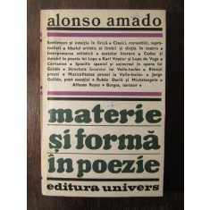 MATERIE SI FORMA IN POEZIE-ALONSO AMADO
