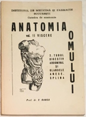 Anatomia omului vol II Viscere, 2 Tubul digestiv abdominal...Splina foto