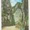 bnk cp Cheile Dambovicioarei ( Jud Arges ) - Vedere - necirculata - marca fixa