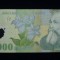 10000 lei 2000