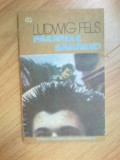 D5 Pacatele Saraciei - Ludwig Fels