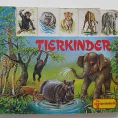 Tierkinder - pagini carton gros