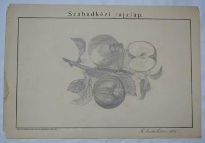 Mere vechi desen 1905 foto