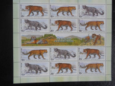 RUSIA-FELINE -KLB-MNH foto