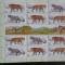 RUSIA-FELINE -KLB-MNH